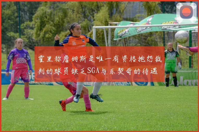 霍里称詹姆斯是唯一有资格抱怨裁判的球员缺乏SGA与东契奇的待遇