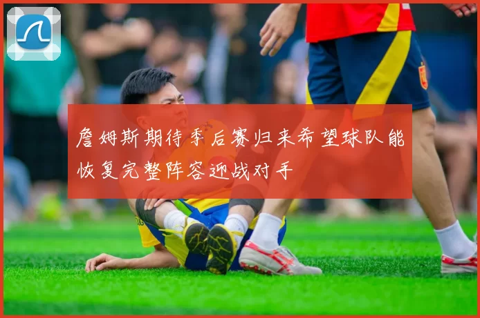詹姆斯期待季后赛归来希望球队能恢复完整阵容迎战对手